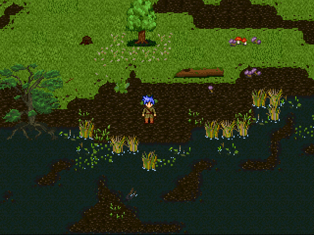 screen gagnant de la semaine