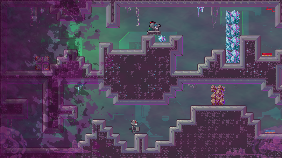 screen gagnant de la semaine